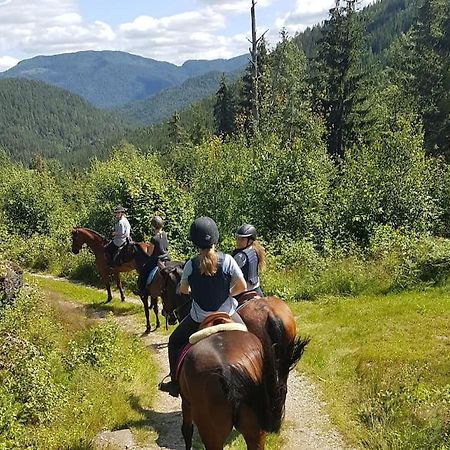 River Run Ranch - Telemark Drangedal 외부 사진