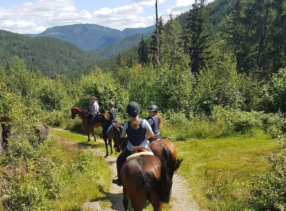 River Run Ranch - Telemark Drangedal 외부 사진