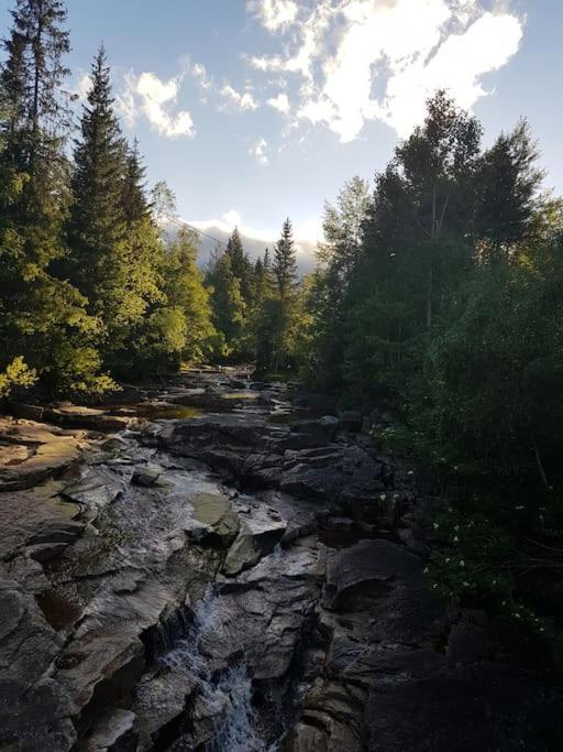River Run Ranch - Telemark Drangedal 외부 사진