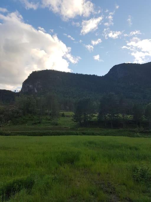 River Run Ranch - Telemark Drangedal 외부 사진