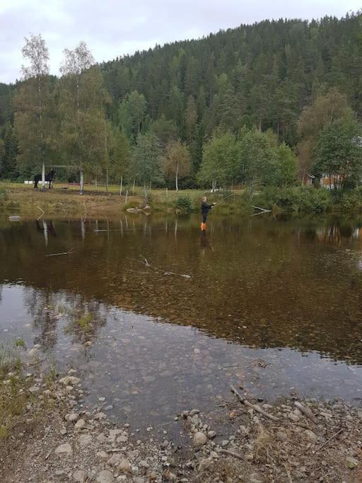 River Run Ranch - Telemark Drangedal 외부 사진