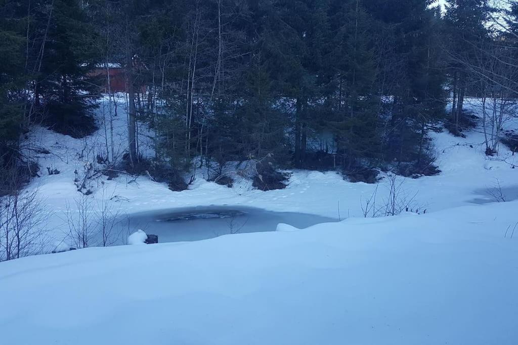 River Run Ranch - Telemark Drangedal 외부 사진
