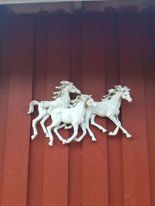River Run Ranch - Telemark Drangedal 외부 사진