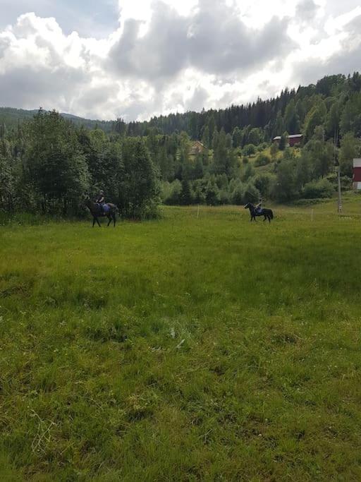 River Run Ranch - Telemark Drangedal 외부 사진