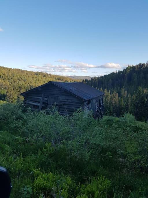 River Run Ranch - Telemark Drangedal 외부 사진