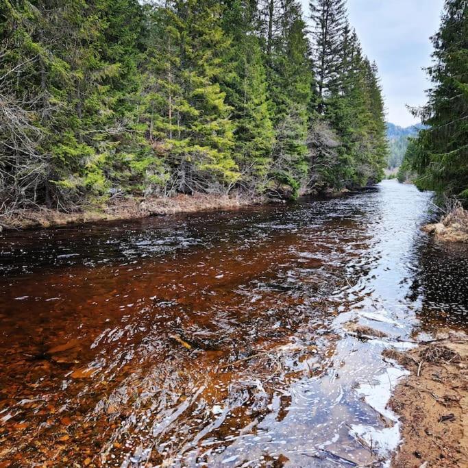 River Run Ranch - Telemark Drangedal 외부 사진