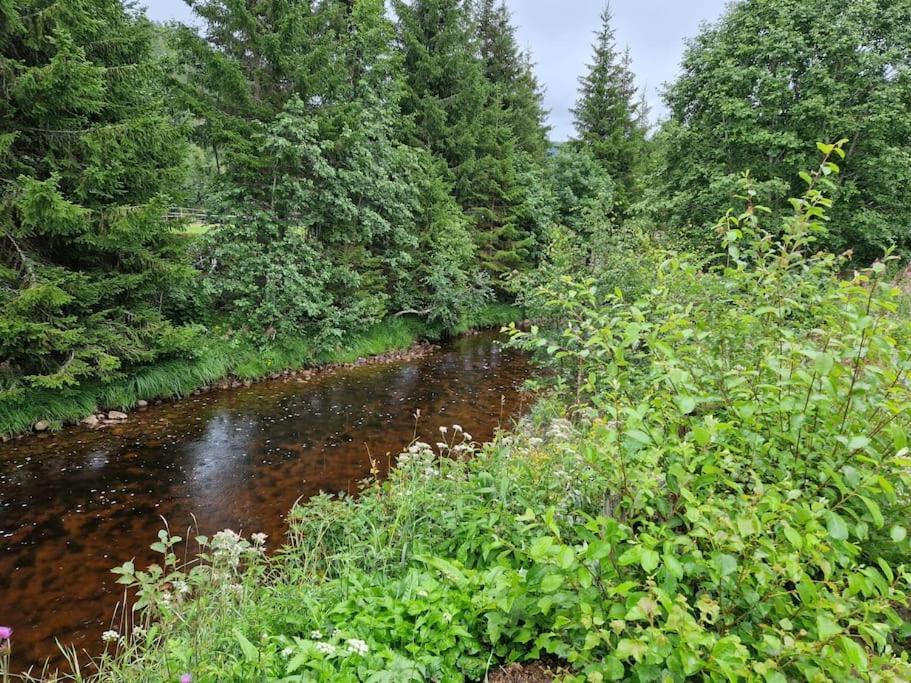 River Run Ranch - Telemark Drangedal 외부 사진