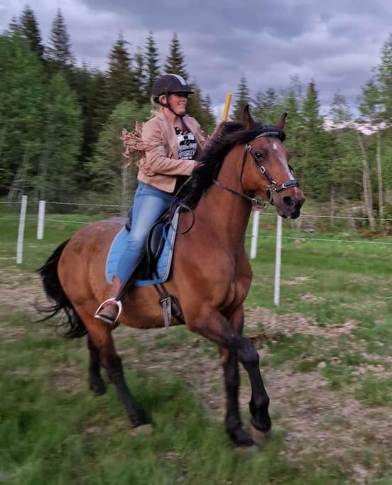 River Run Ranch - Telemark Drangedal 외부 사진