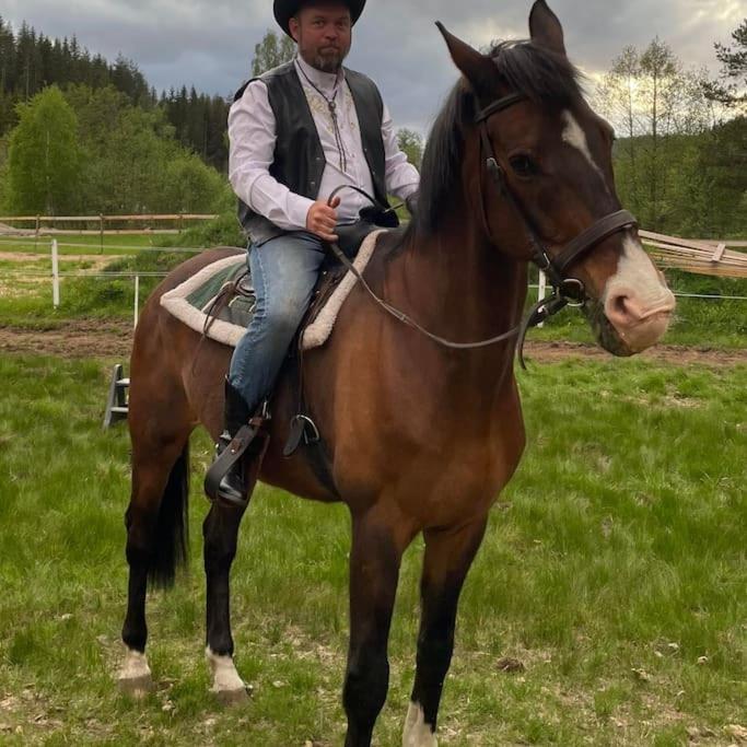 River Run Ranch - Telemark Drangedal 외부 사진
