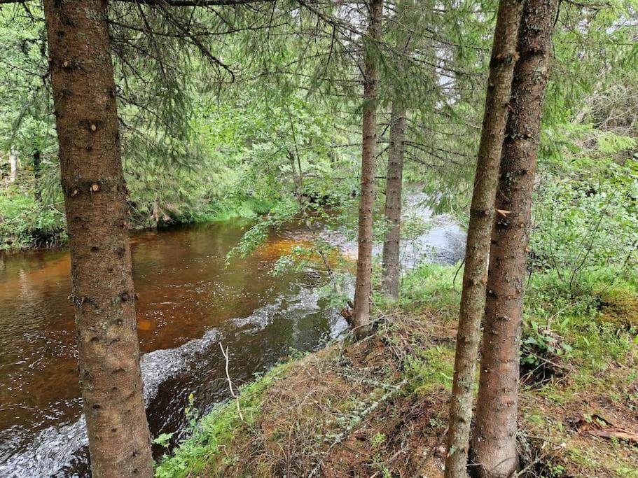 River Run Ranch - Telemark Drangedal 외부 사진