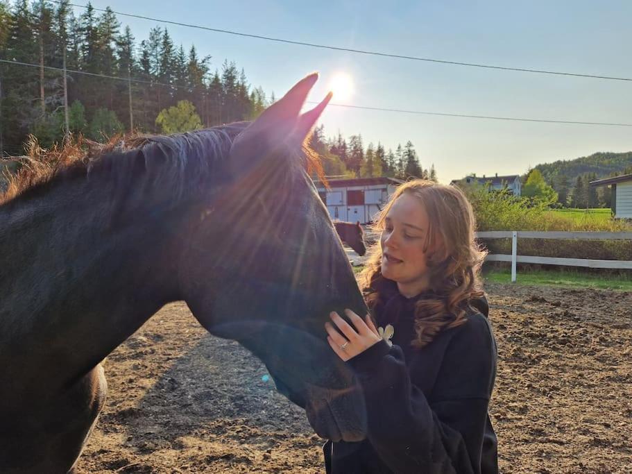 River Run Ranch - Telemark Drangedal 외부 사진